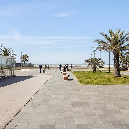 Fronte Mare - - Movida 비아레지오